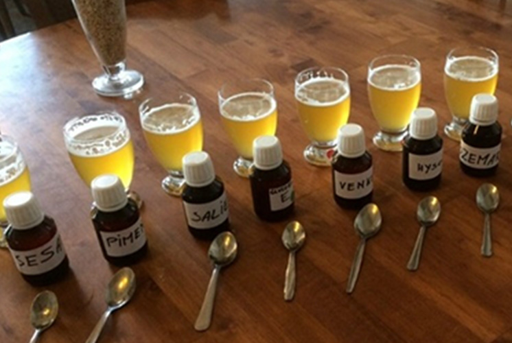 City brewery Gruut
